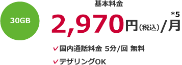 30GB 基本料金2,970円(税込)/月*5 国内通話料金 5分/回 無料 テザリングOK