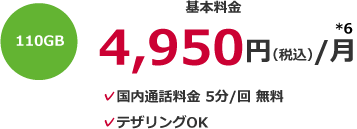 110GB 基本料金4,950円(税込)/月*6 国内通話料金 5分/回 無料 テザリングOK