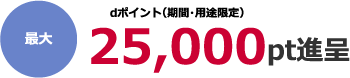 dポイント(期間・用途限定)最大25,000pt進呈