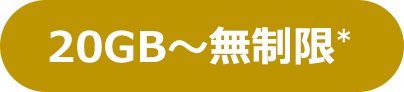 20GB～無制限*