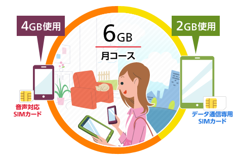 例えば6GB/月コースを、1人でスマホとタブレットの2台を利用する場合