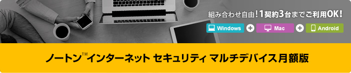 ノートン(TM)インターネットセキュリティ マルチデバイス 月額版