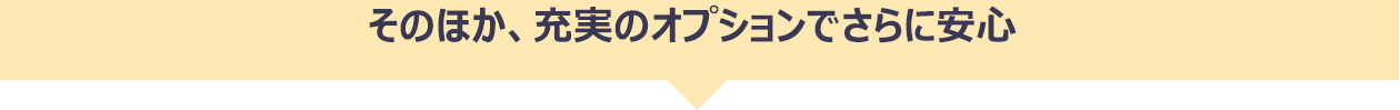 そのほか、充実のオプションでさらに安心