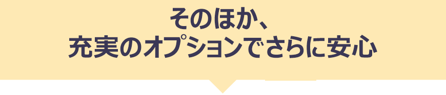 そのほか、充実のオプションでさらに安心